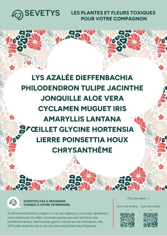 DANGERS-PLANTES.webp
