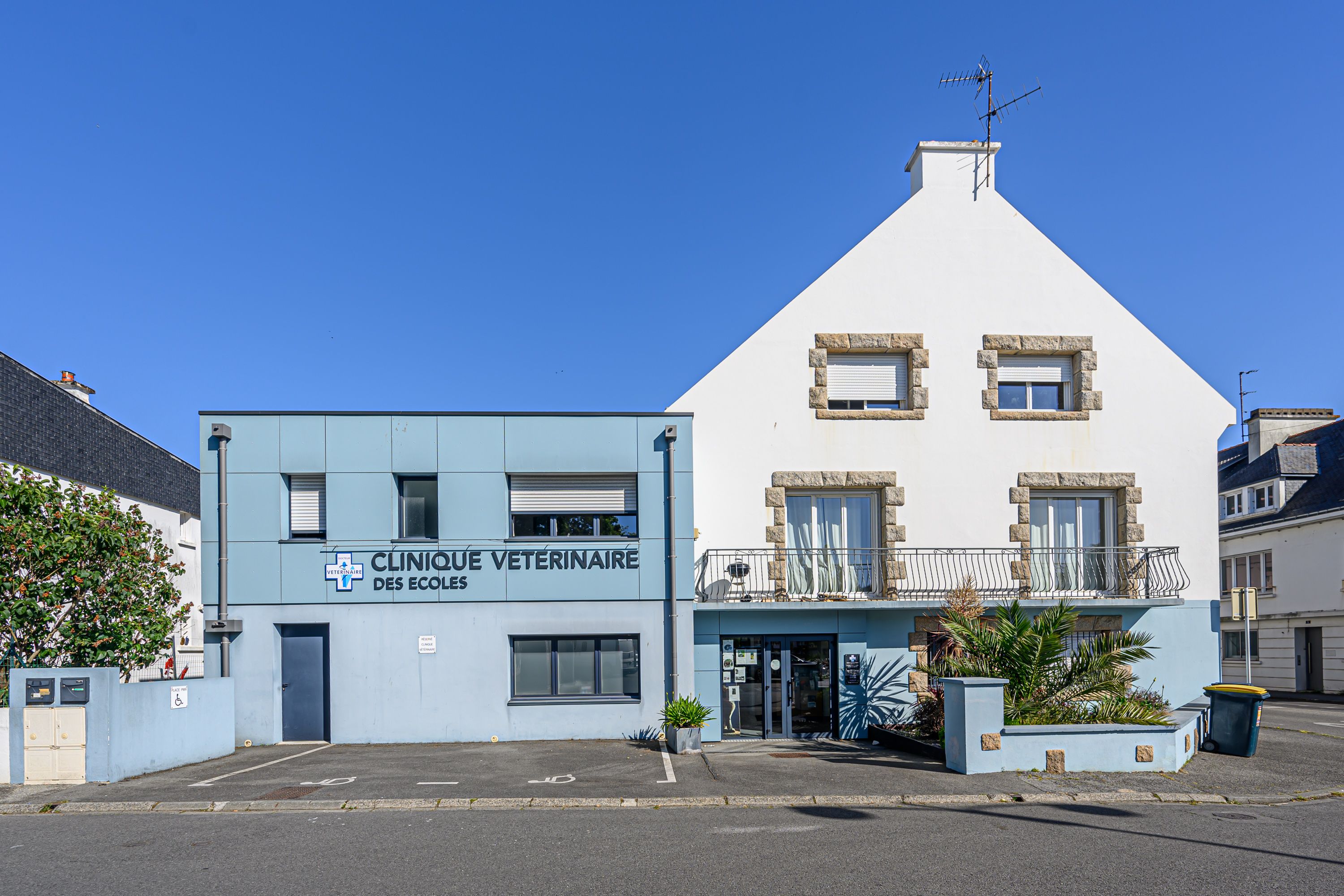 Clinique vétérinaire des Ecoles - Lanester - Sevetys Clinique vétérinaire des Ecoles - Lanester - Sevetys
